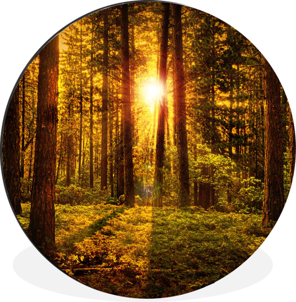 MuchoWow Aluminium Wandkreis Wald - Sonne - Bäume - Natur - Sonnenuntergang Ø 60 cm Wanddeko Modern Wohnzimmer - Wand Kreis - Wandbild - Schlaf...