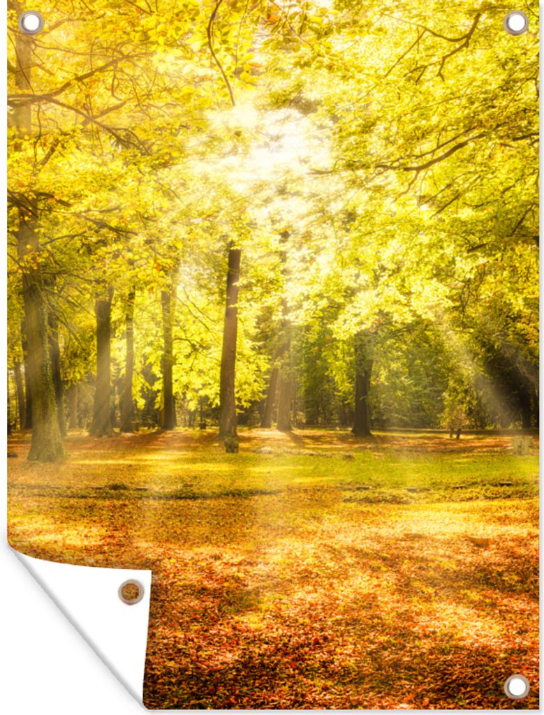 MuchoWow 30x40 cm Outdoor-Poster Gartendeko Sichtschutz Garten Poster für den Garten Baum - Natur - Sonne - Landschaft - Wald