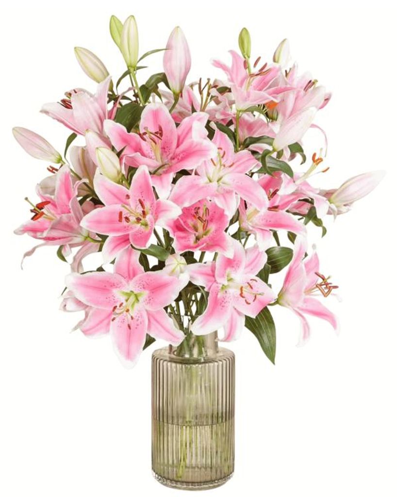 Blumenstrauß Pinke Lilien | Geschenk - frische Blumen | Produktbild 