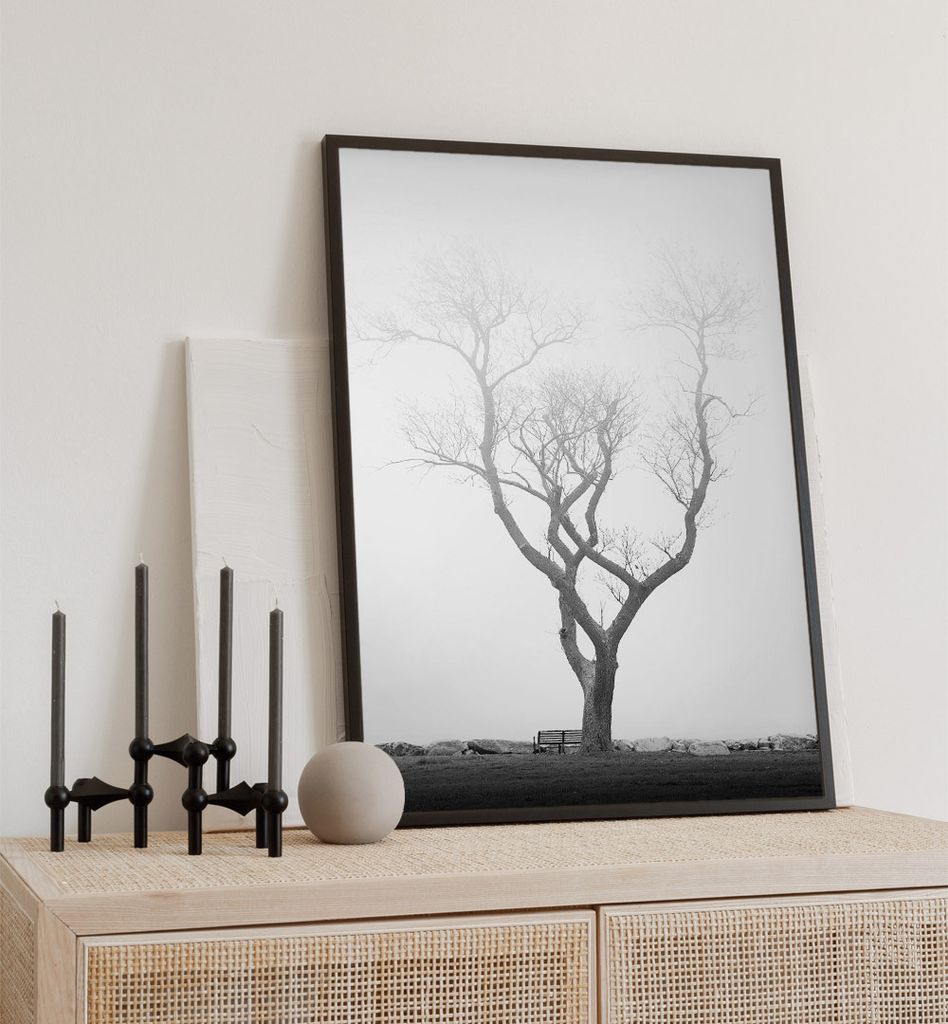 Poster Nebelverhüllter alter Baum, groesse_poster:30x40 cm, groesse_rahmen:weiß Passepartout 40x50 cm