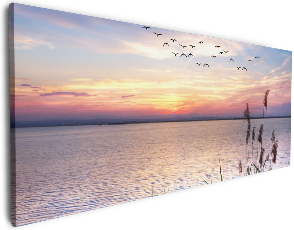Wallario Premium Leinwandbild Seepanorama mit Schilf und fliegenden Vögeln in Größe 80 x 200 cm