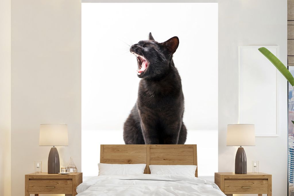 MuchoWow Fototapete für Wohnzimmer oder Schlafzimmer Wandtapete Vinyl Motivtapete Kauende schwarze Katze - 200x300 cm - Wanddekorationen