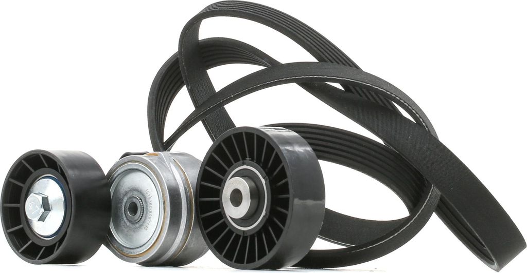 RIDEX 542R0028 Keilrippenriemensatz für FIAT MULTIPLA (186)