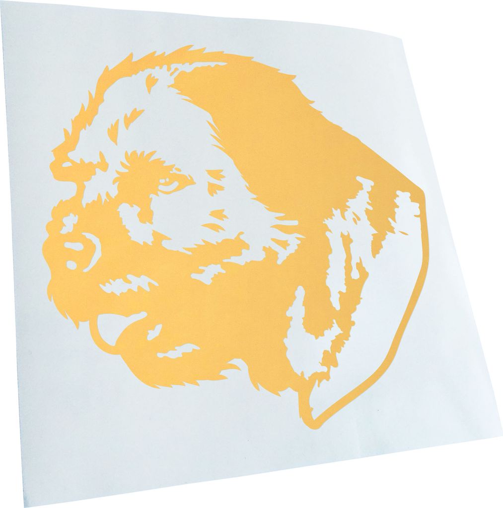 Kiwistar - Autoaufkleber - Border Terrier Hund - Creme - 60x55cm - Aufkleber für Auto, Laptop, Fahrrad, LKW, Motorrad mehrfarbig JDM Decal Racing