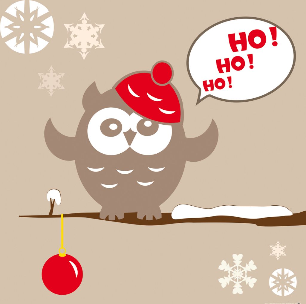 Weihnachten Kunstdruck Bild - Herr Eule Singt Ho Ho Ho (70 x 70 cm)