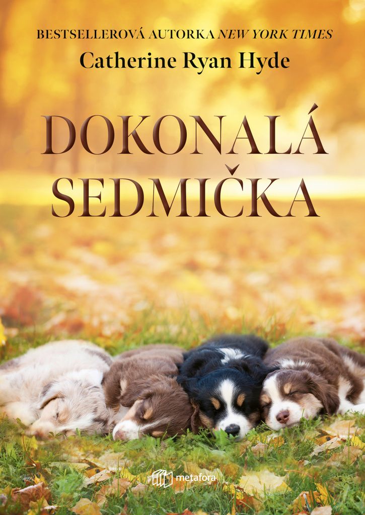 Dokonalá sedmička | Catherine Ryan Hyde