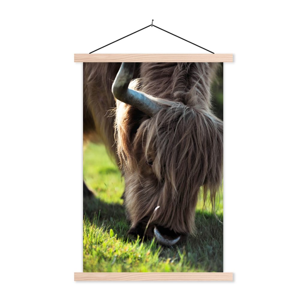 MuchoWow Textilposter Schottischer Highlander - Hörner - Sonne 60x90 cm mit holzfarbenen Rahmen - Textil