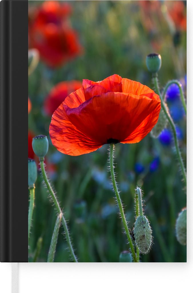 MuchoWow Notizbuch Tagebuch Haushaltsbuch Notebook A5 Bunte Mohnblumen in den Niederlanden - Notizblock - Notizheft - Notebook - Schreibblock - P...