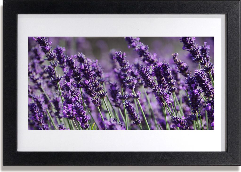 Bild 30x20 MDF-Rahmen Wandkunst Blumen Pflanzen Natur