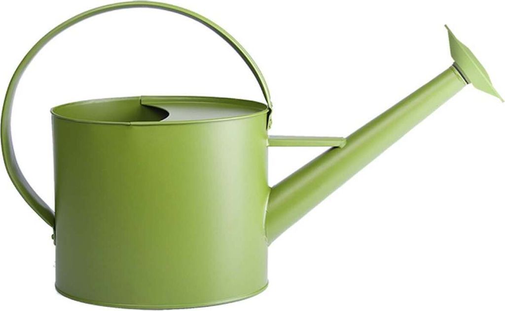 Esschert Design Outdoor Gießkanne Grün 4,3 Liter - Metall