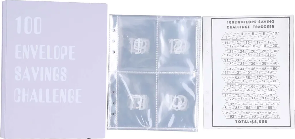 Raccoglitore Budgeting A5 Viola - Kit 100 Buste e 25 Inserti PVC