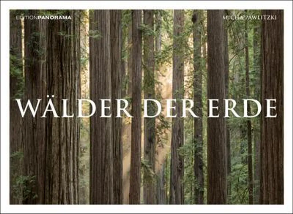Bougie Parfumée Les Forêts De La Terre - Senteur Boisée Naturelle 250g