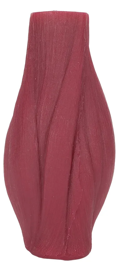 Maquette anatomique du muscle humain 1lb pour démonstration diététique