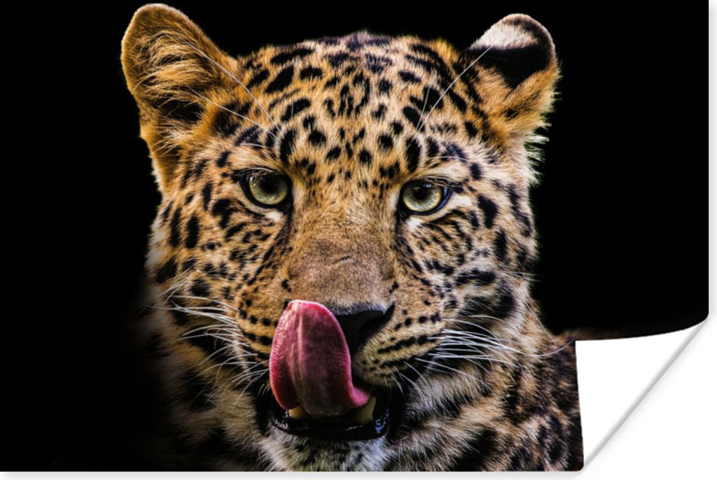 MuchoWow Poster Leopard - Schwarz - Nahaufnahme 180x120 cm - Fotoplakat