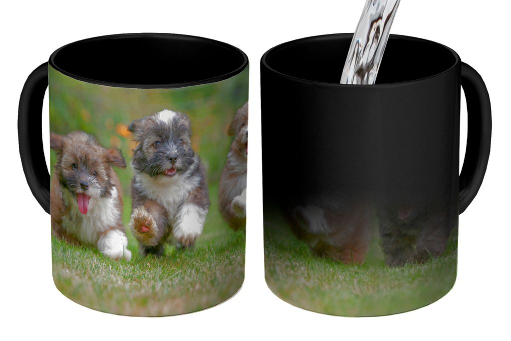KitchenYeah Zauber Tasse Zaubertasse Magic Welpen - Hunde - Tiere 350 ml Farbwechsel Becher Geschenk Geschenkidee - Magic-Tasse - Fototasse - Ker...