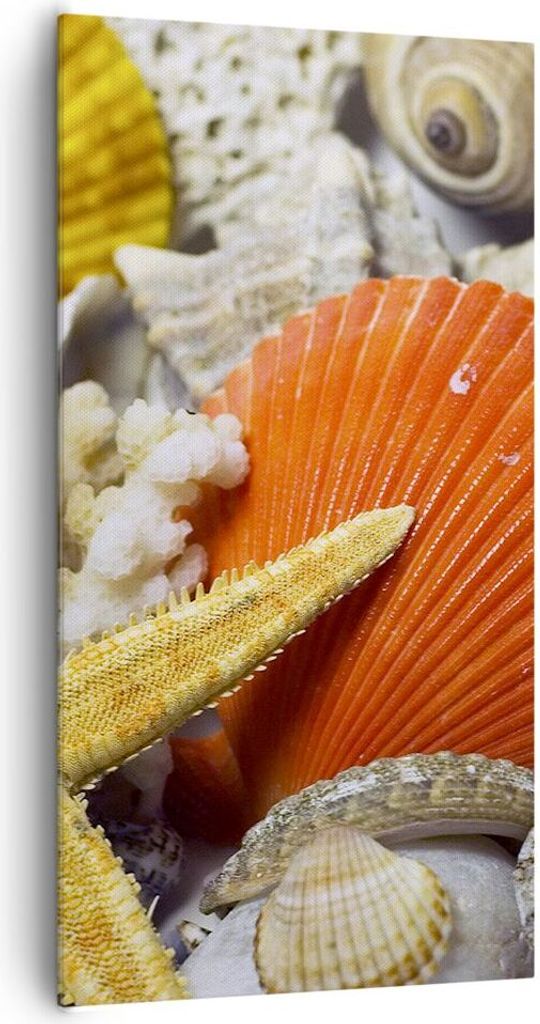 Bild auf Leinwand - Leinwandbild - Seashell Meer Strand Sand - 65x120cm - Wand Bild - Wanddeko - Leinwanddruck - Bilder - Kunstdruck - Wanddekorati...