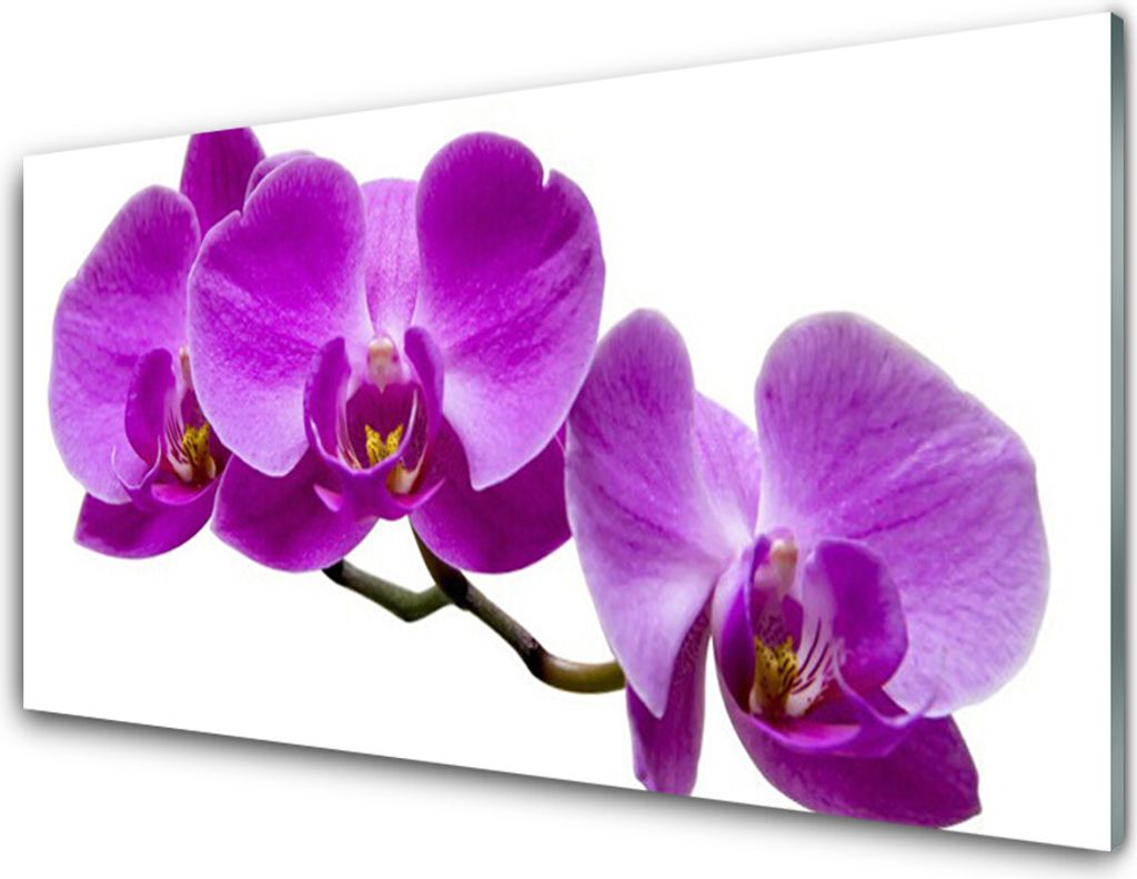 Küchenrückwand aus Glas 100x50cm Spritzschutz Blumen Pflanzen