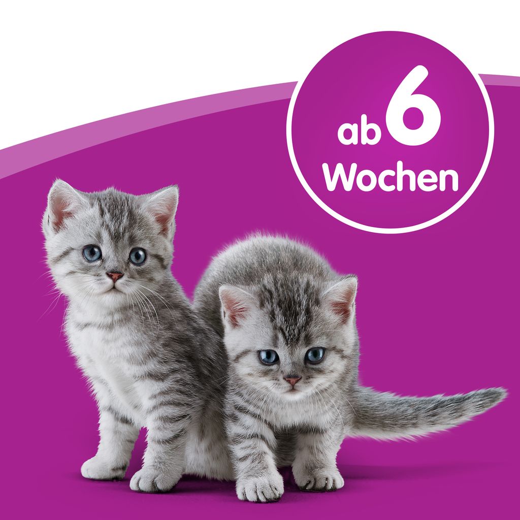 WHISKAS® Katzenmilch 6 x 200ml Produktbild 5