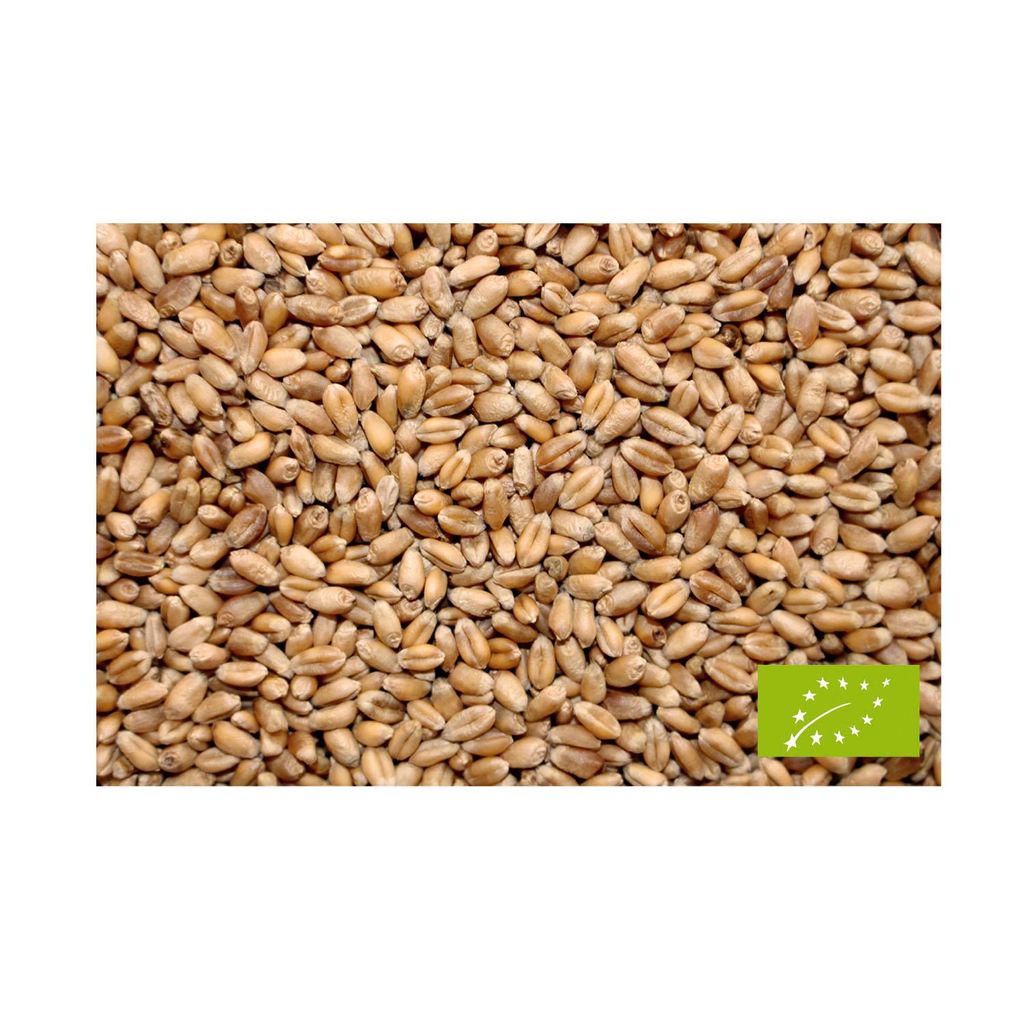 LanDixx B I O Weizen 25 kg Produktbild 