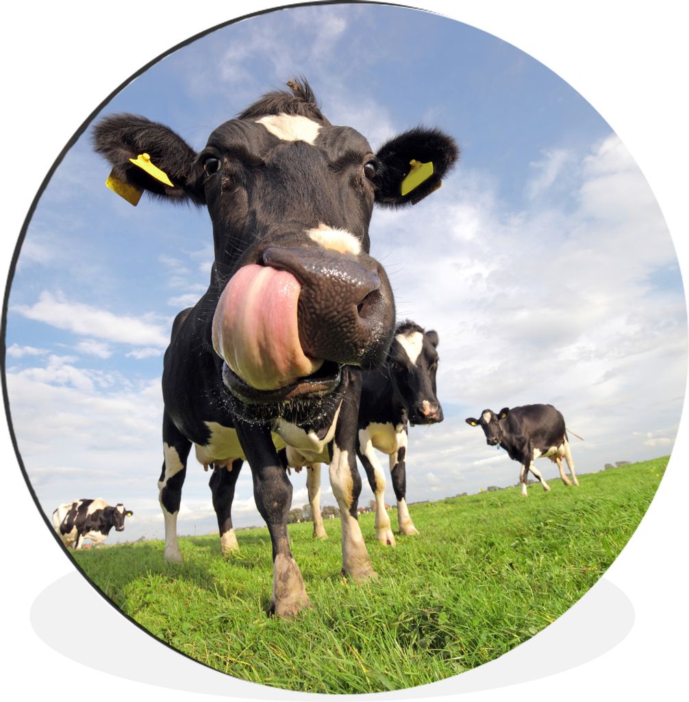 MuchoWow - Wand Kreis - Wandbild - Schlafzimmer - Aluminium Bild - Kinderzimmer - Wohnzimmer Dekoration - Wandschmuck