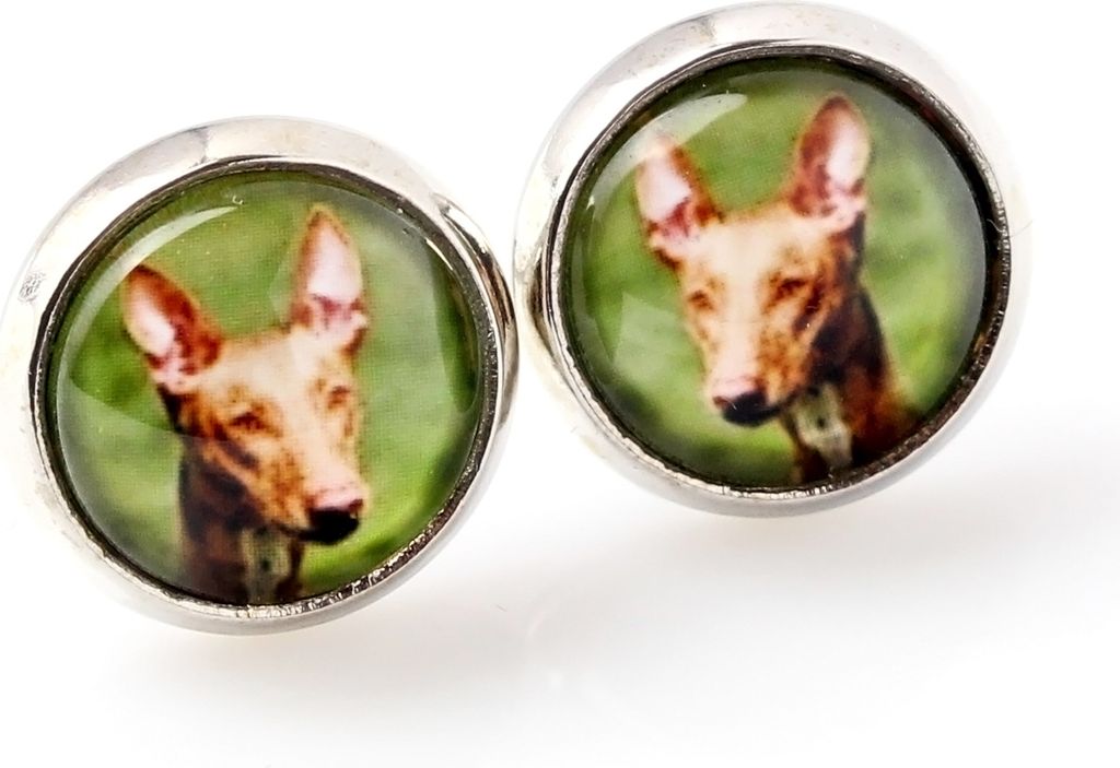 Pharaonenhund, Pharaoh Hound, Kelb tal-Fenek - Ohrringe in einer Schachtel, Ihr Foto, handgefertigter Schmuck, Eigenmarke von Art-Dog.