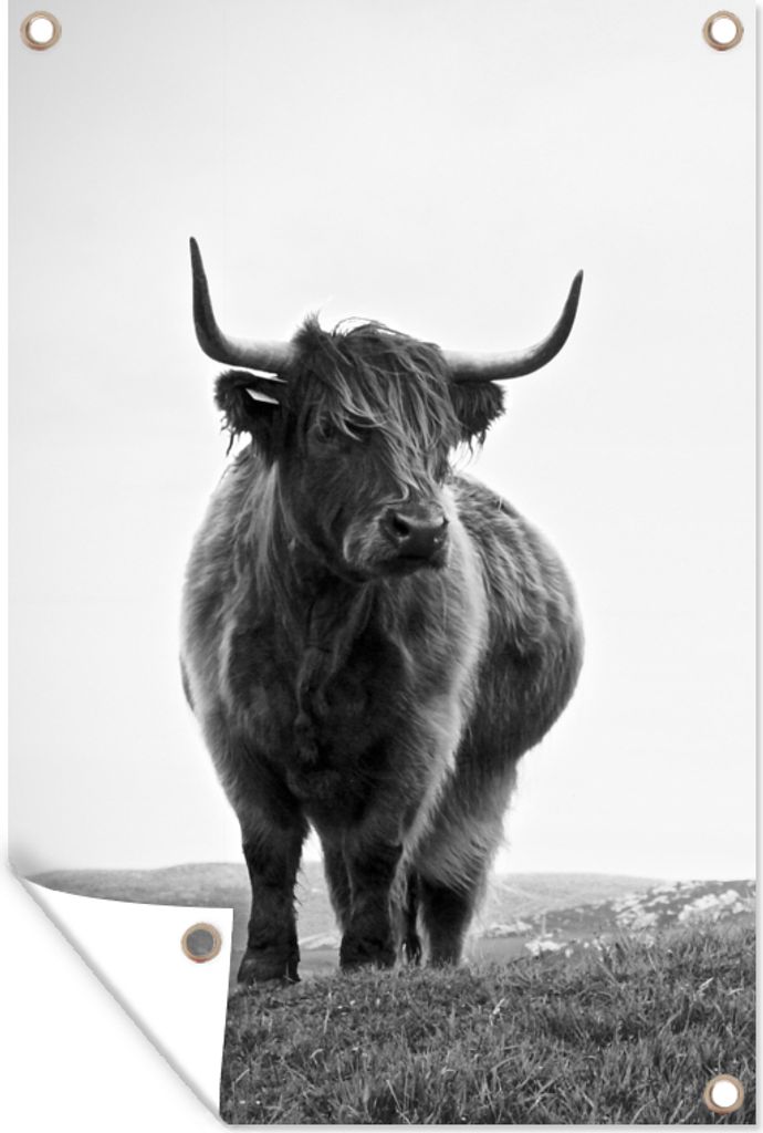 MuchoWow 60x90 cm Outdoor-Poster Gartendeko Sichtschutz Garten Poster für den Garten Tiere - Schottische Hochlandbewohner - Schwarz und weiß -...