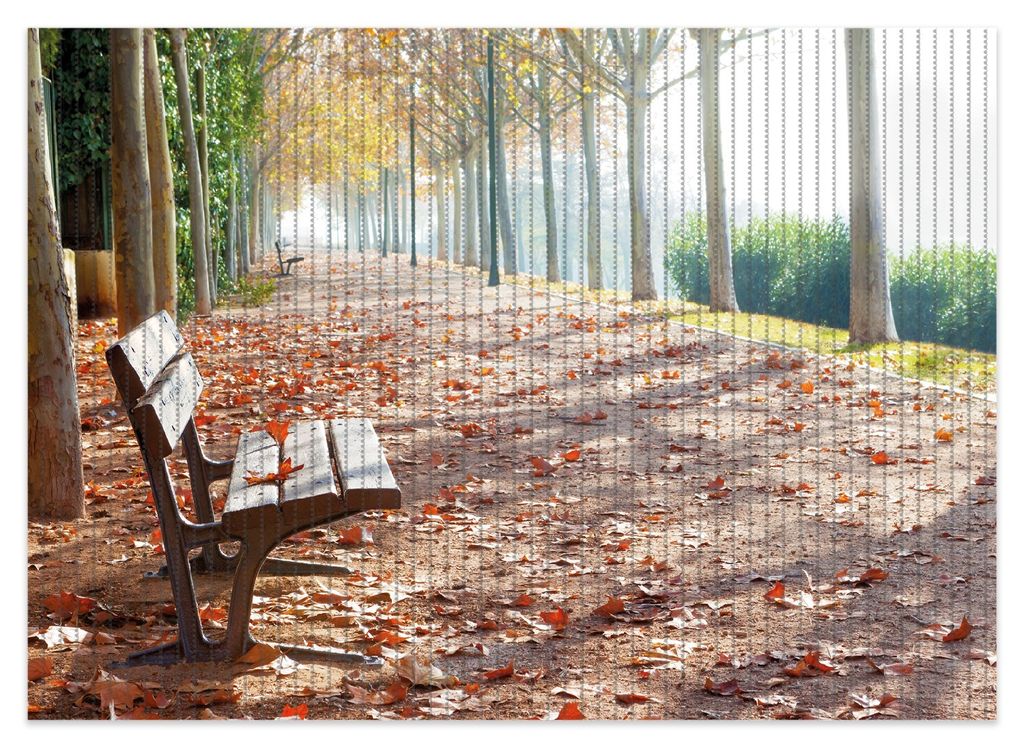 Wallario Duschmatte Antirutschmatte Badmatte Fußmatte Einsame Parkbank an einer Allee - Herbststimmung, Größe ca. 70 x 50 cm