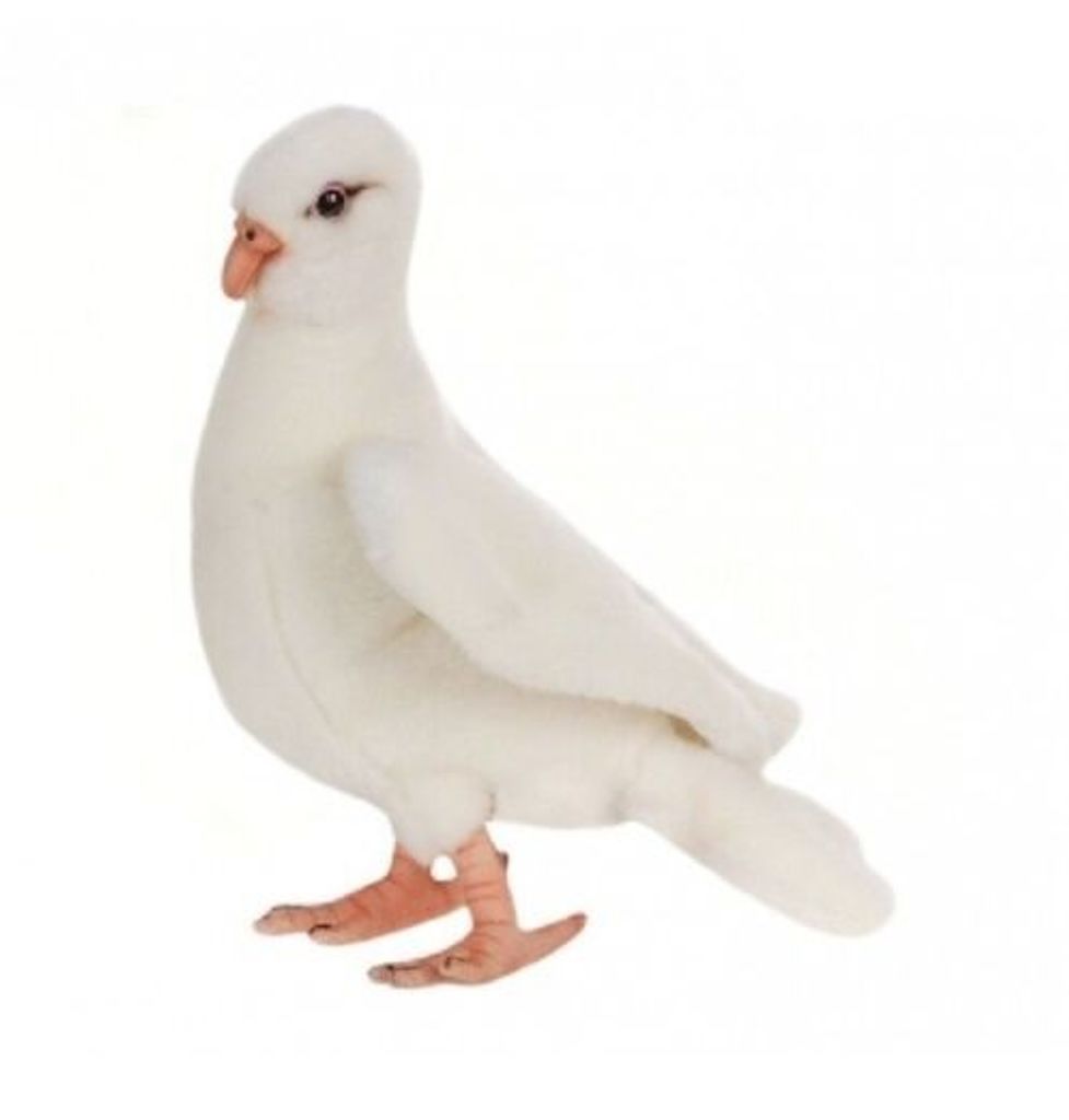 A white stuffed toy dove is shown against a white background.