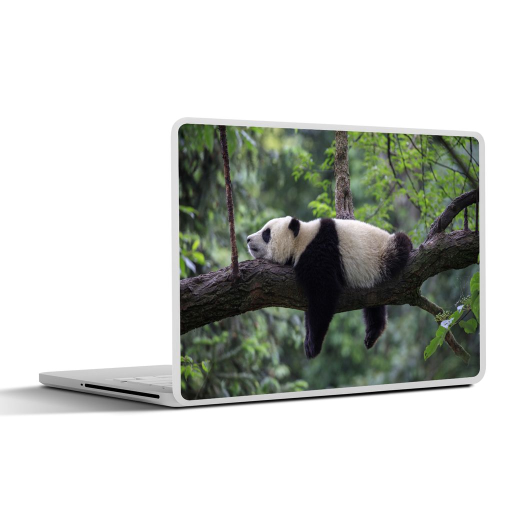 MuchoWow Laptop Aufkleber Sticker Cover Panda - Baum - Tiere - Natur 25x18 cm - Laptop-Deko
