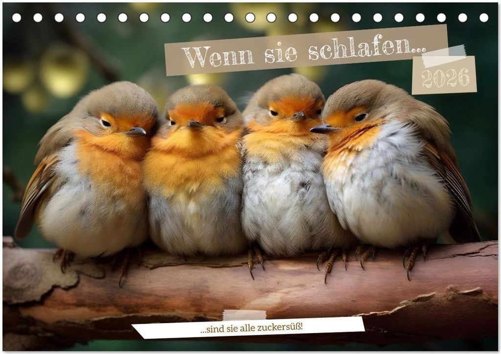 Wenn sie schlafen... (Tischkalender 2026 DIN A5 quer), CALVENDO Monatskalender