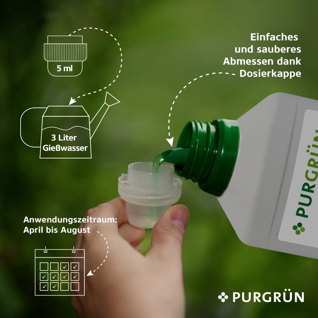 Professioneller Anthurium Sprhnebel-Dnger Konzentrat  Fr Gesundes  Wachstum Und Schne Bltter