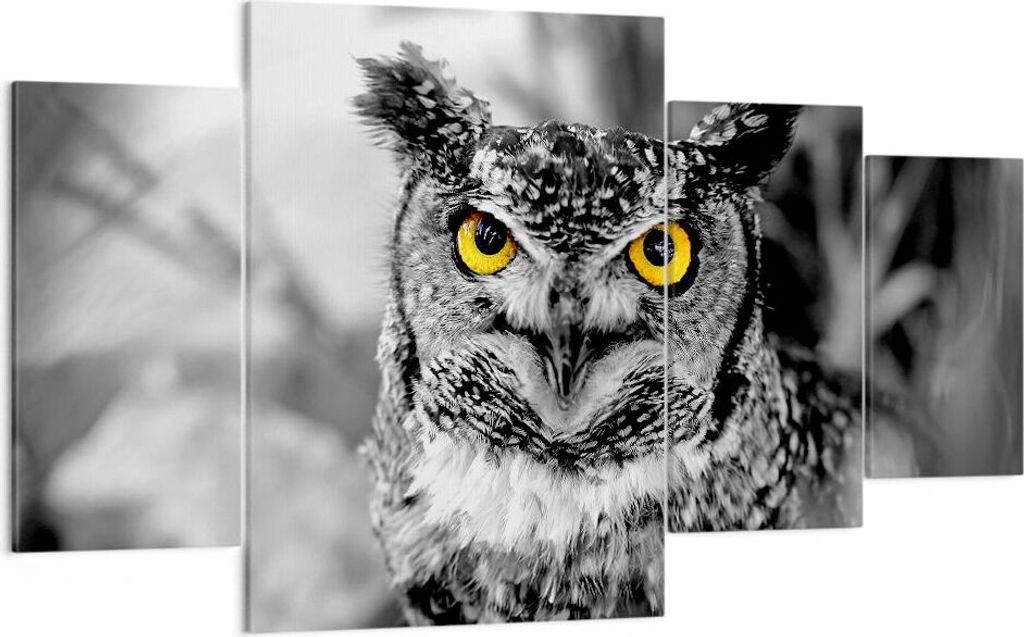 Bild auf Leinwand - Leinwandbild - Eule Vogel Natur - 160x90cm - Wand Bild - Wanddeko - Wandbilder - Leinwanddruck - Bilder - Kunstdruck - Wanddeko...