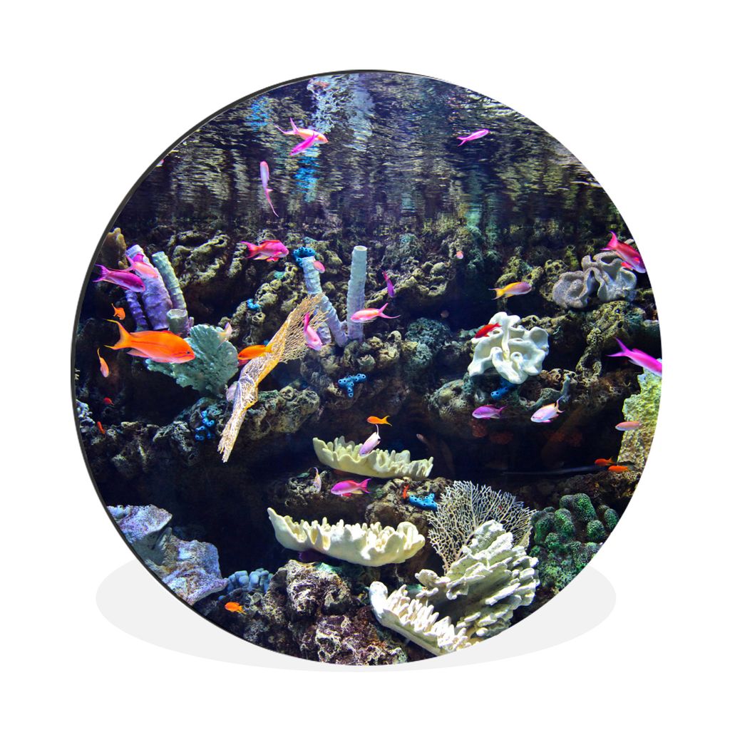 MuchoWow Aluminium Wandkreis Buntes Aquarium Ø 30 cm Wanddeko Modern Wohnzimmer - Wand Bild - Wohnzimmer - Runde Bilder - Alubilder - Kunst für...
