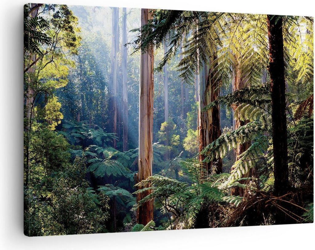 Bild auf Leinwand - Leinwandbild - Einteilig - Morgendämmerung Bäume Wald - 70x50cm - Wand Bild - Wanddeko - Wandbilder - Leinwanddruck - Bilder ...