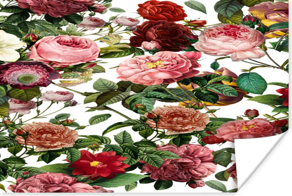 MuchoWow Poster Blumen - Rosa - Weiß - Strauch 30x20 cm - Plakate - Print