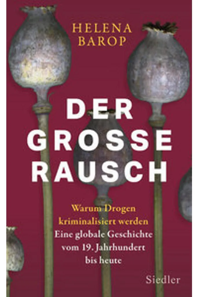 Der große Rausch avec Cartes Illustrées et Mécanique de Jeu Innovante