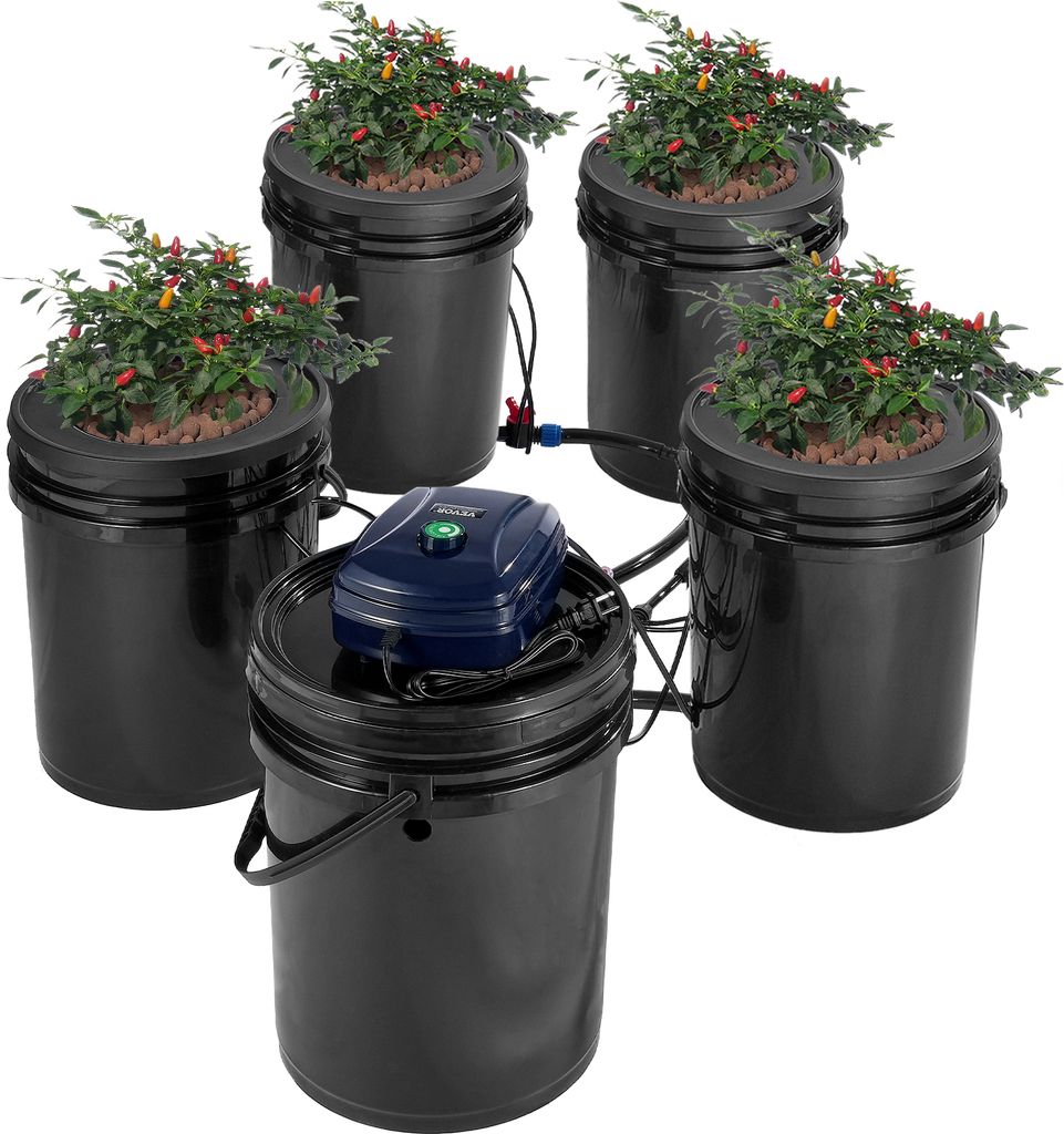 A hydroponic cultivation system with multiple buckets and plants, connected to an air pump.