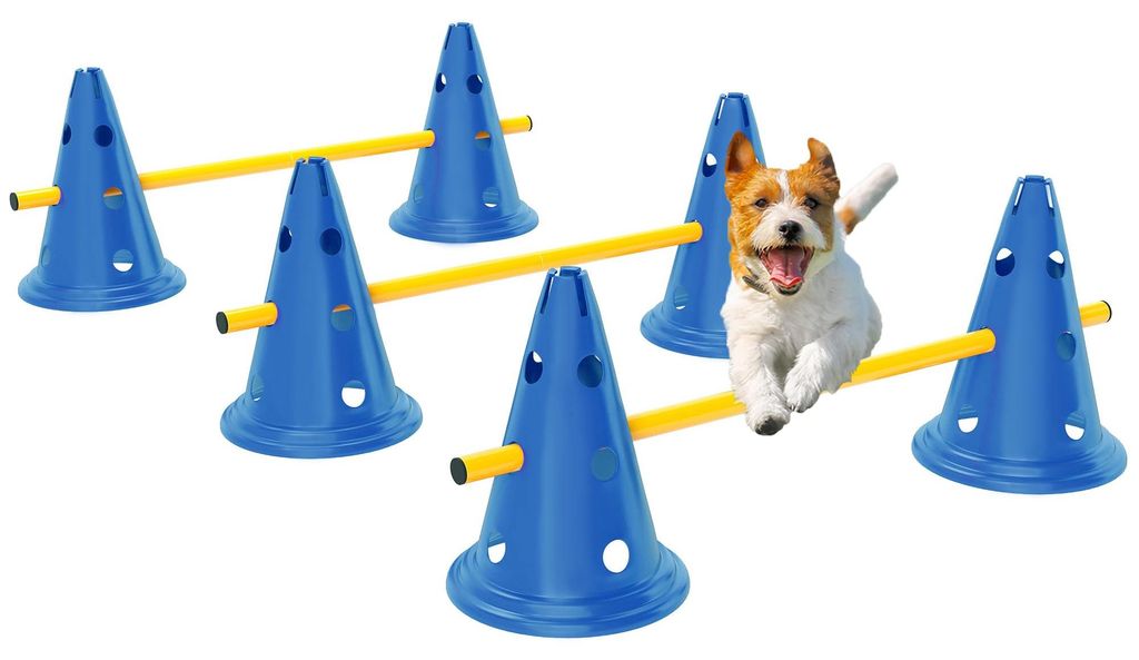 Set PawHut per agility: attrezzatura da agility in 3 pezzi Immagine del prodotto 