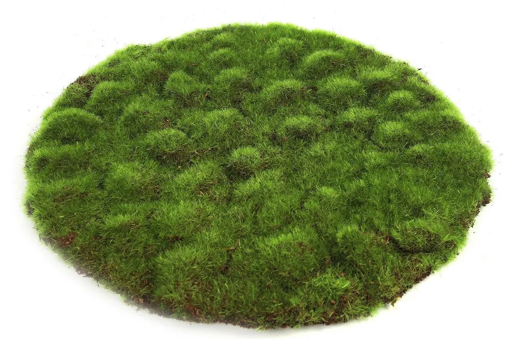 Countryfield Disque de mousse vert 30x30cm pour éveil créatif enfant