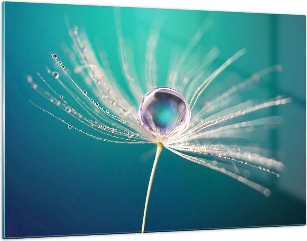 Bilder auf glas - Pflanze Natur - 120x80cm - Glasbilder - Wandbilder - Kunstdruck - zum Aufhängen bereit - Wanddekoration aus Glas - Glas Bilder -...