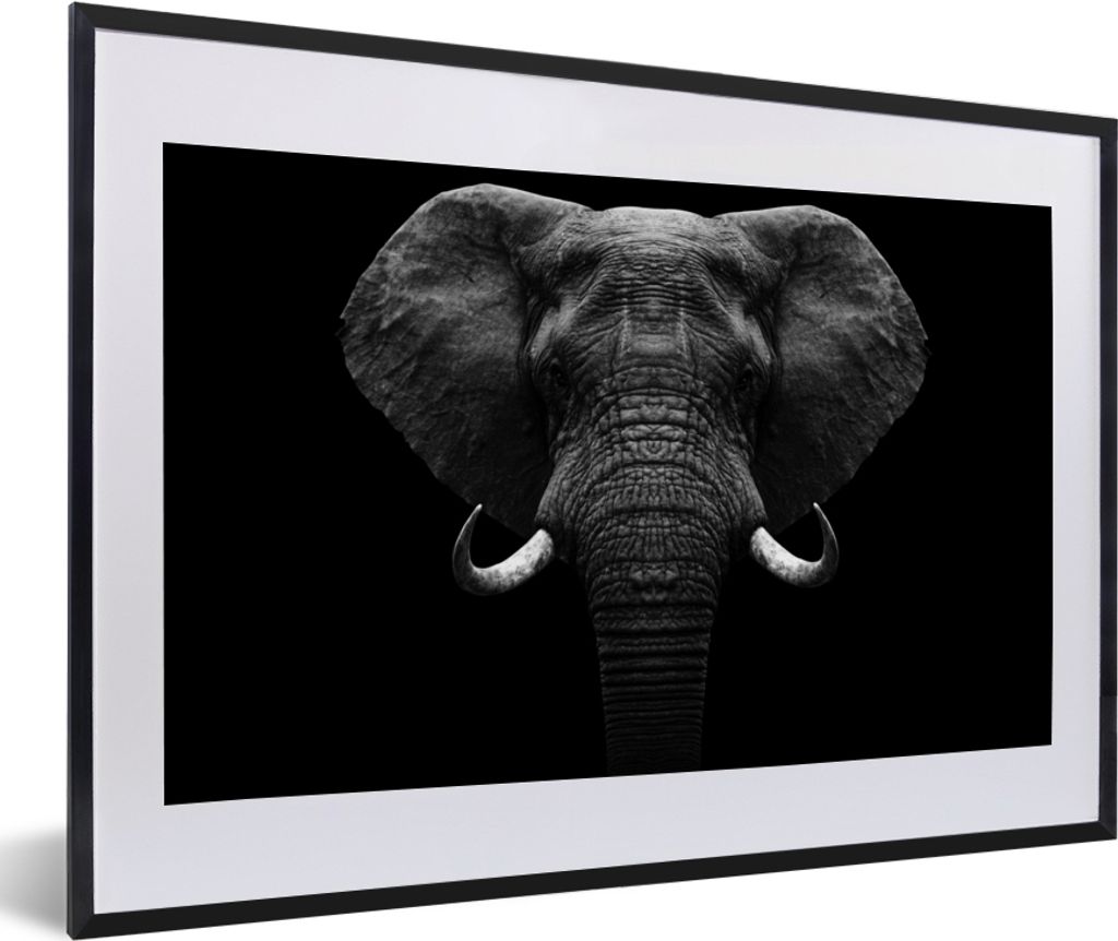 MuchoWow Gerahmtes Poster Tiere - Elefant - Porträt - Schwarz - Weiß 60x40 cm - Poster mit Schwarzem Bilderrahmen Wandposter Rahmen Foto Bilder...