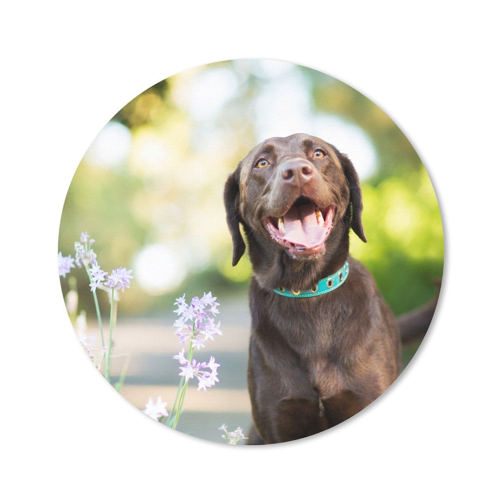 MuchoWow Mauspad Mousepad Ein Labrador Retriever mit schönen Blumen 40x40 cm - Mousepads - Maus Mat - Pad - Mausunterlage - Schreibtisch Accesso...