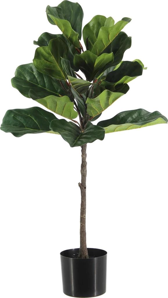 aplanta Künstlicher Ficus Lyrata - Niran | 90 cm, für drinnen, Kunstbaum, wie echt, Allergiker geeignet, pflanzliche Dekoration Praxis, Office & ...