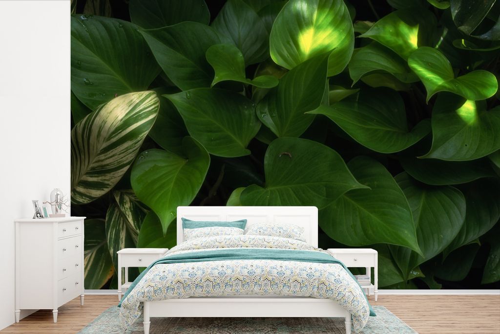 MuchoWow Fototapete für Wohnzimmer oder Schlafzimmer Wandtapete Vinyl Motivtapete Pflanze - Sonne - Dschungel - 450x300 cm - Gemusterte