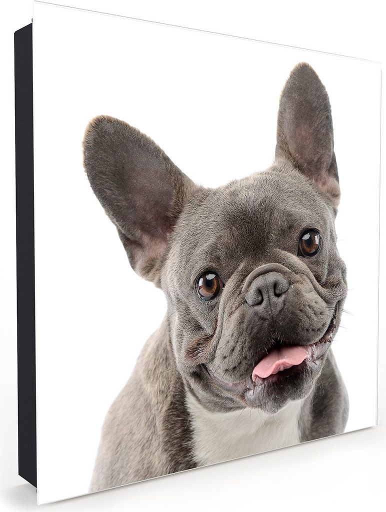 Nachbildung-Schlüsselkasten, Magnetpinnwand und Memoboard mit Glasfront Motiv Hund streckt Zunge raus