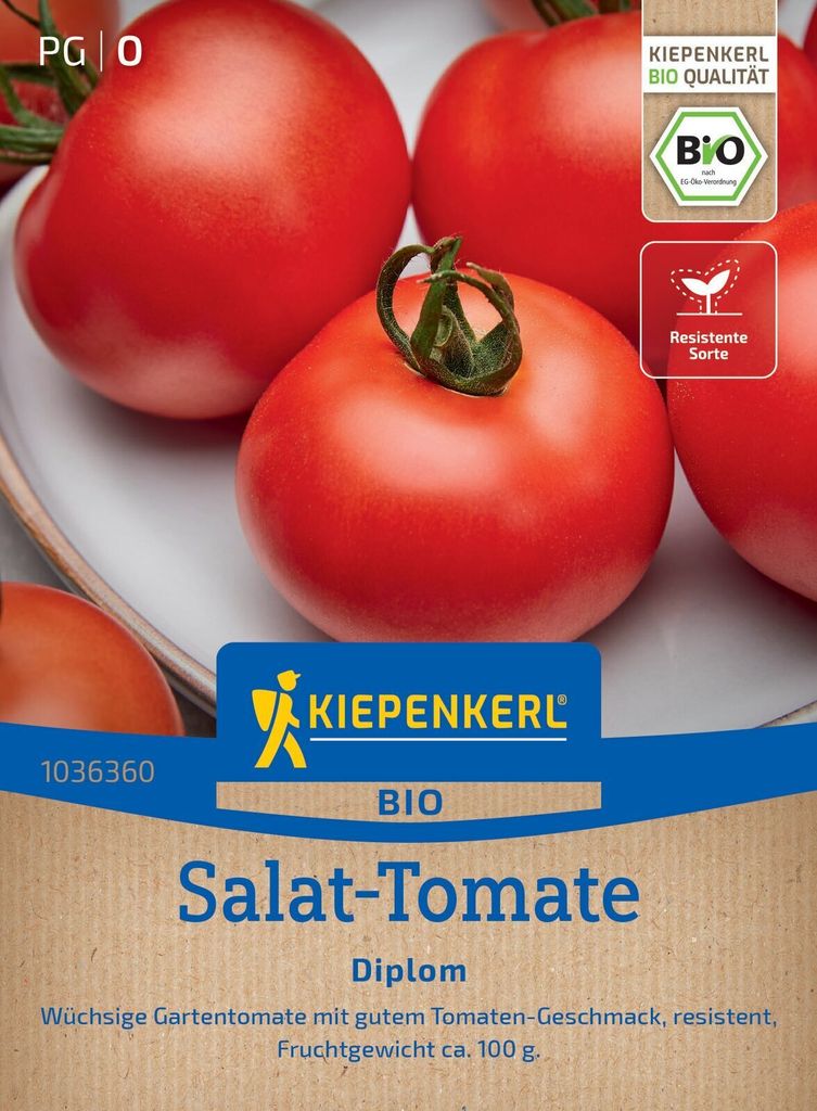Kiepenkerl Salat Tomatensamen Diplom F1 Solanum lycopersicum 8 Pflanzen