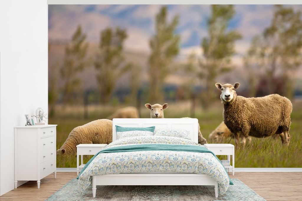MuchoWow Fototapete für Wohnzimmer oder Schlafzimmer Wandtapete Vinyl Motivtapete Schaf - Tier - Gras - 345x220 cm - Wohnzimmertapete