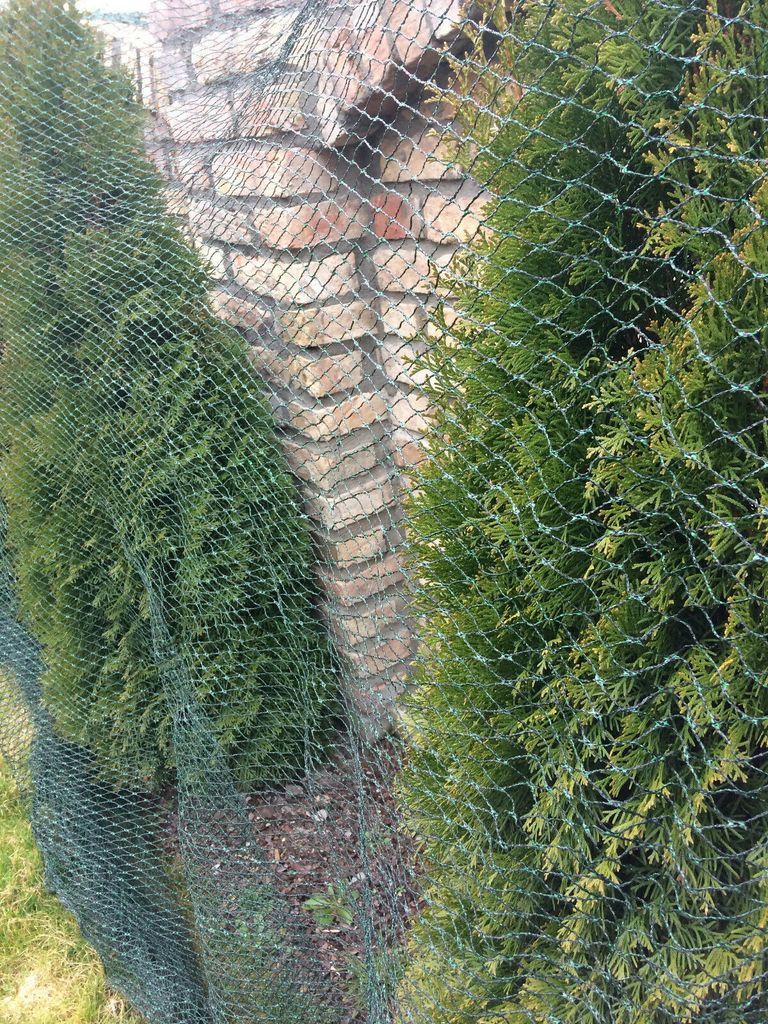 Teichnetz Feinmaschig Aquagart Teichnetz 7m X 8m Reiherschutz Silonetz Laubschutznetz Vogelschutznetz Laubnetz Kaufen Bei Teichnetz 5x5
