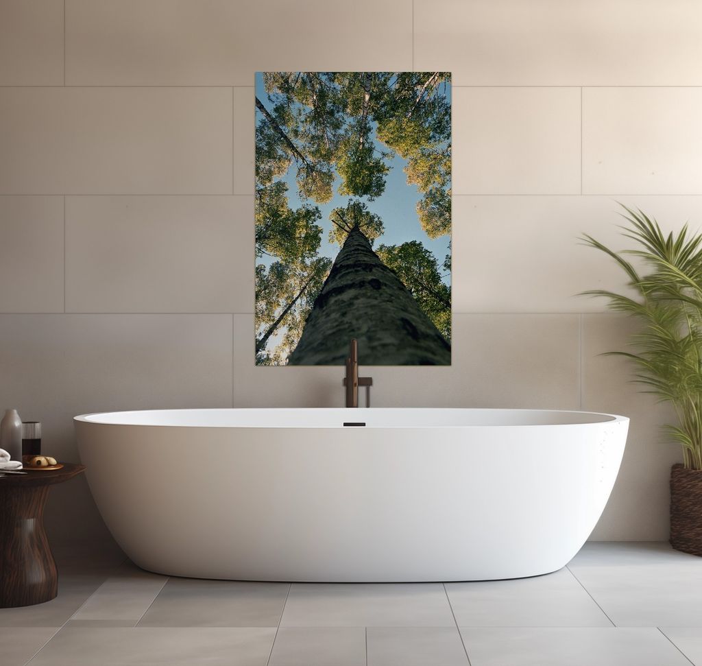 Wallario wasserfestes Poster selbstklebend 91,50 x 61 cm, Birkenwald von unten betrachtet, Badezimmerposter Spritzschutz mit Hochglanzoberfläche i...