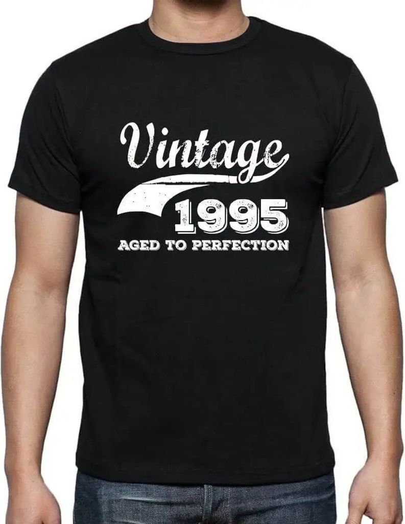 Herren Grafik T-Shirt Zur Perfektion gereift 1995 – Aged To Perfection 1995 – Geschenk 29. Geburtstag Jahrestag 29 Jahre Jubiläum 29 Jährige ...